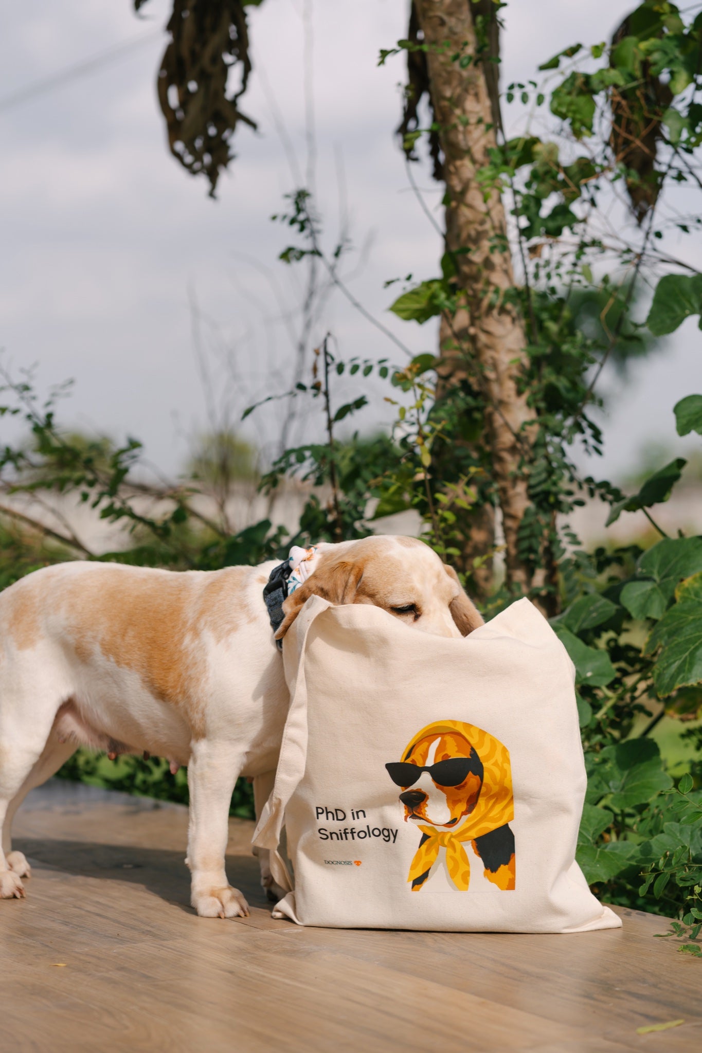 Natural canvas tote bag with PhD in Sniffology dog print