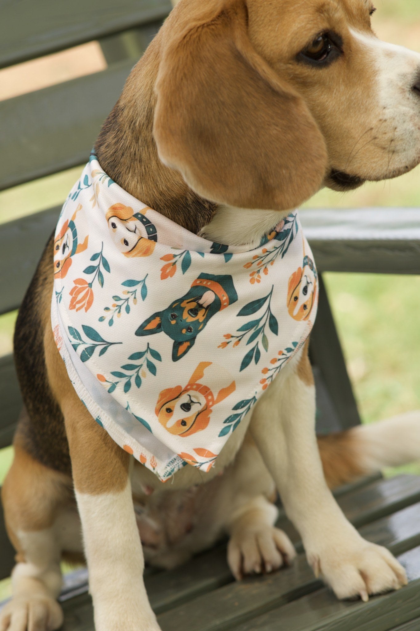 Beagle wearing white dog bandana with orange and teal floral dog print