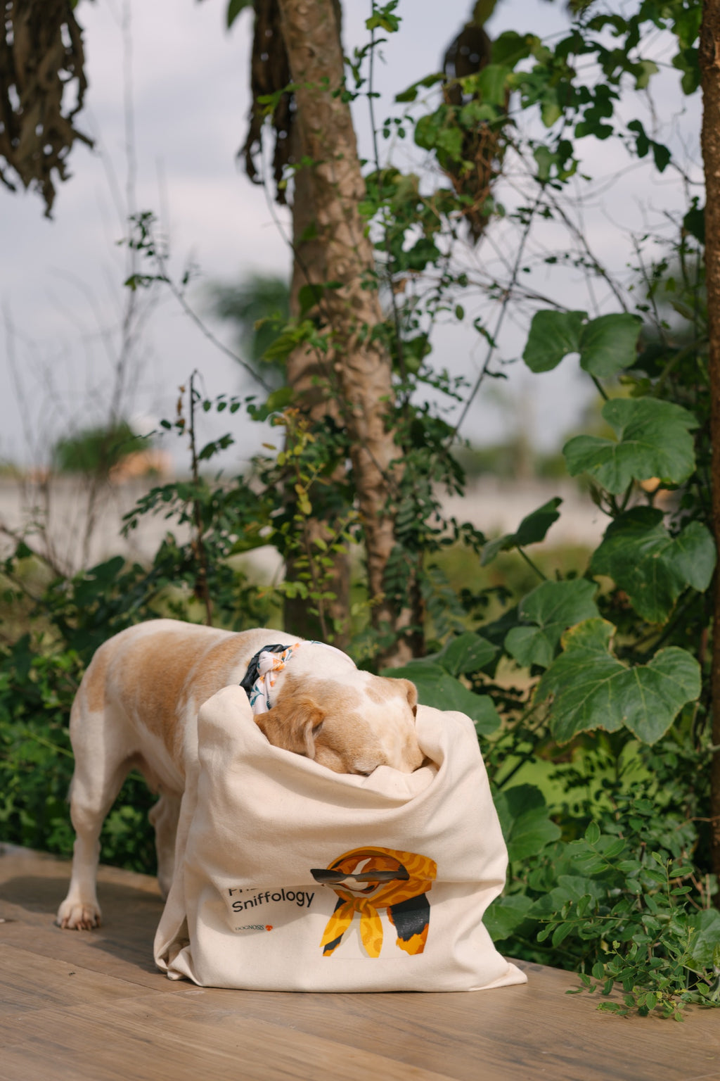 Natural canvas tote bag with PhD in Sniffology dog print
