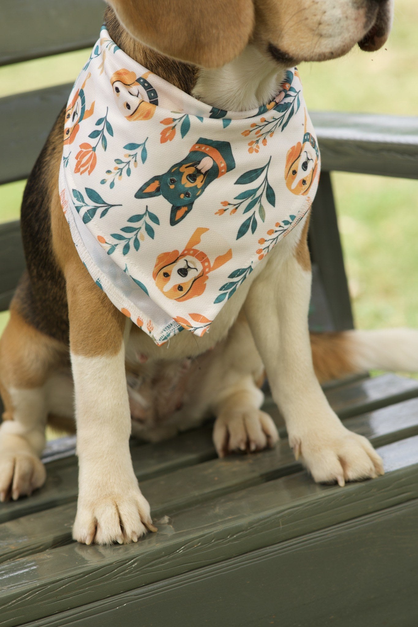 Beagle wearing white dog bandana with orange and teal floral dog print